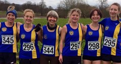 Club Success at Shropshire County XC Champs