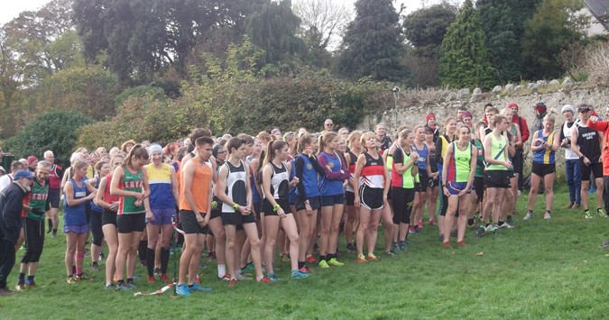 Running Report 6.11.16