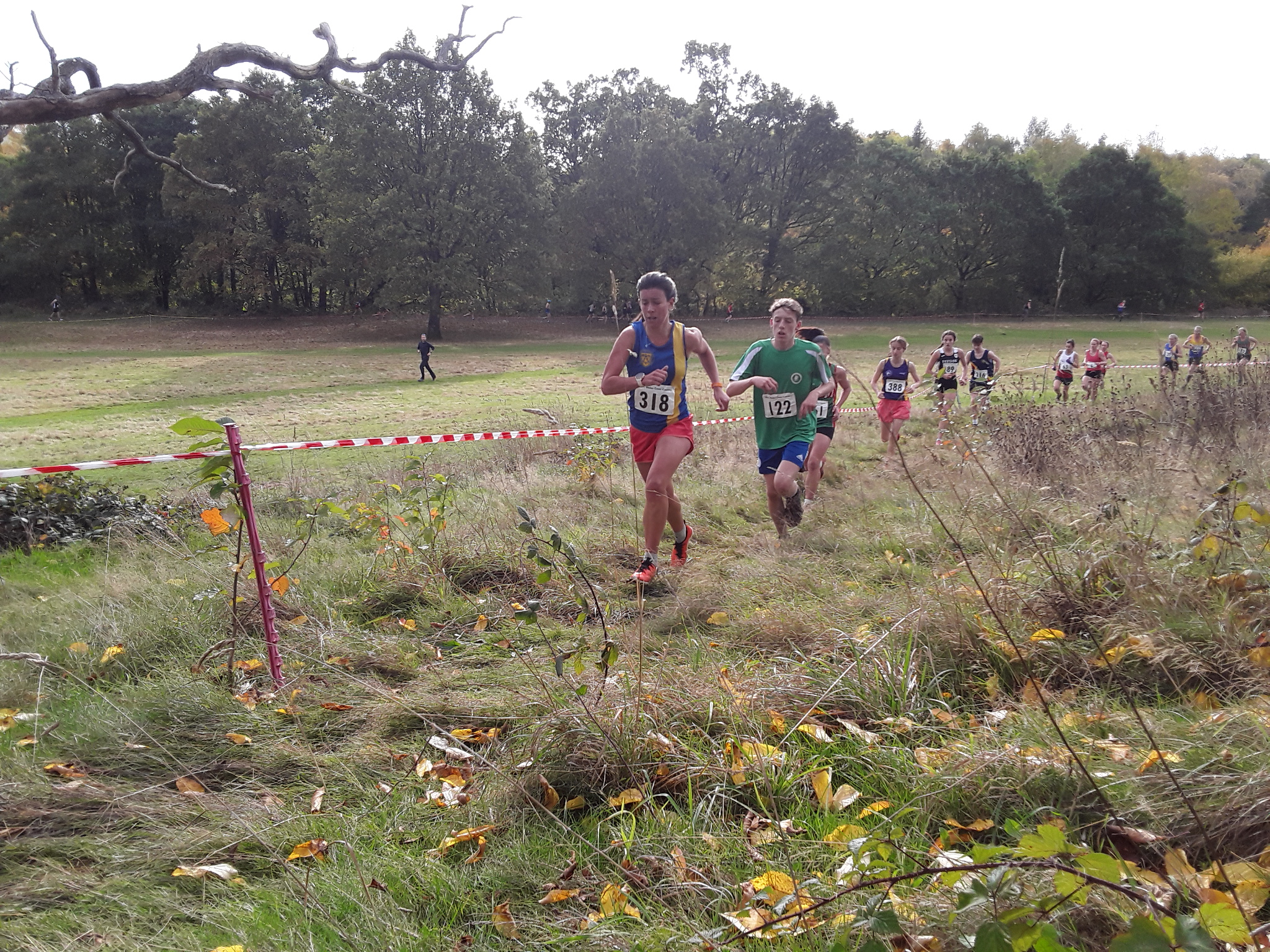 North Wales Cross Country - Newtown Results